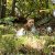 ANNO 2022 &raquo; CASTAGNATA_2022